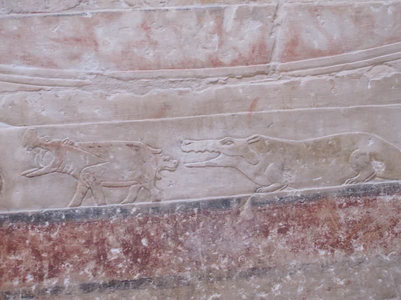 Painted relief of hippos and a crocodile in a Saqqara mastaba